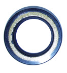 OIL SEAL (6E5)