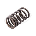 Sea doo 4-Stroke Valve Spring