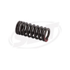 Yamaha Valve Intake Spring