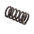 Yamaha Valve Spring